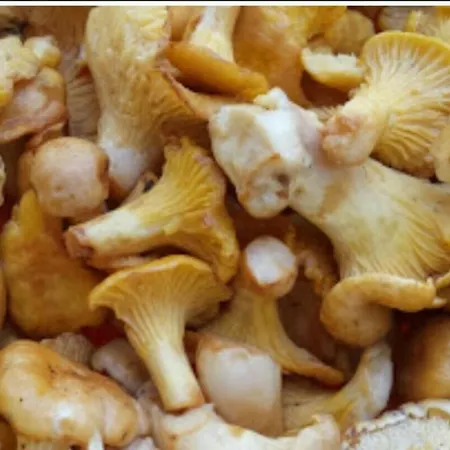 D'hotes De 3* Malvalette